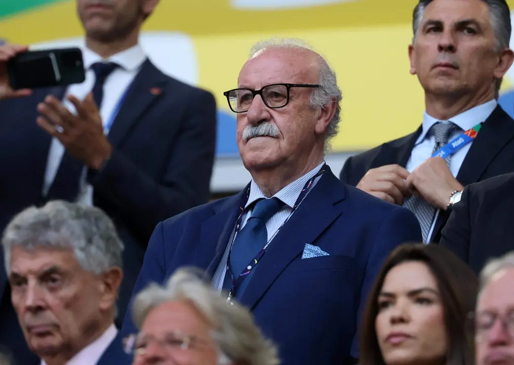 Vicente del Bosque asiste al encuentro de Espa&ntilde;a ante Albania que se disputa en D&uuml;sseldorf (Alemania). EFE/EPA/FRIEDEMANN VOGEL