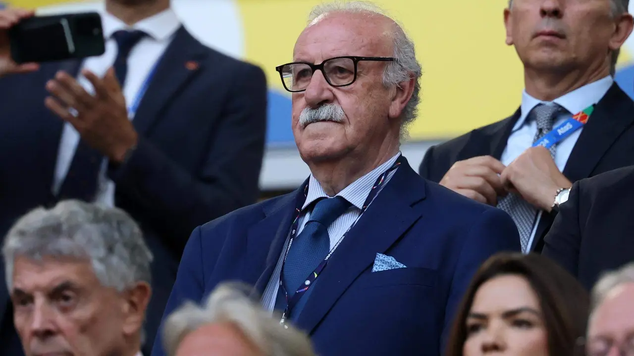 Vicente del Bosque asiste al encuentro de Espa&ntilde;a ante Albania que se disputa en D&uuml;sseldorf (Alemania). EFE/EPA/FRIEDEMANN VOGEL